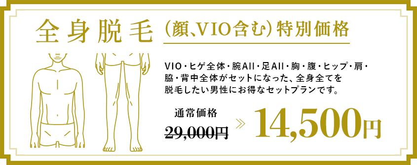 全身脱毛特別価格 12000円