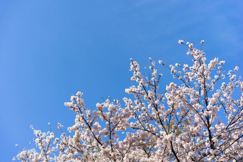 2月に動いた人が春に感じやすい変化