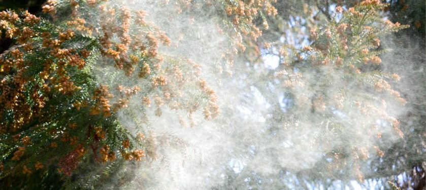 花粉・乾燥に負けない肌へ｜3月から始める春のメンズスキンケア