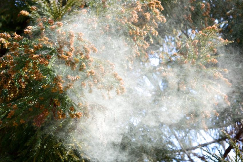 花粉・乾燥に負けない肌へ｜3月から始める春のメンズスキンケア